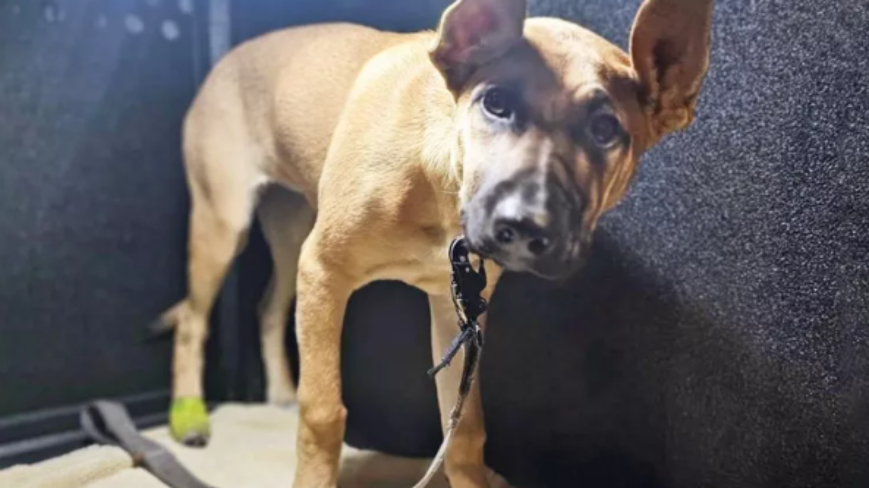 Screenshot 2025-12-27 084844