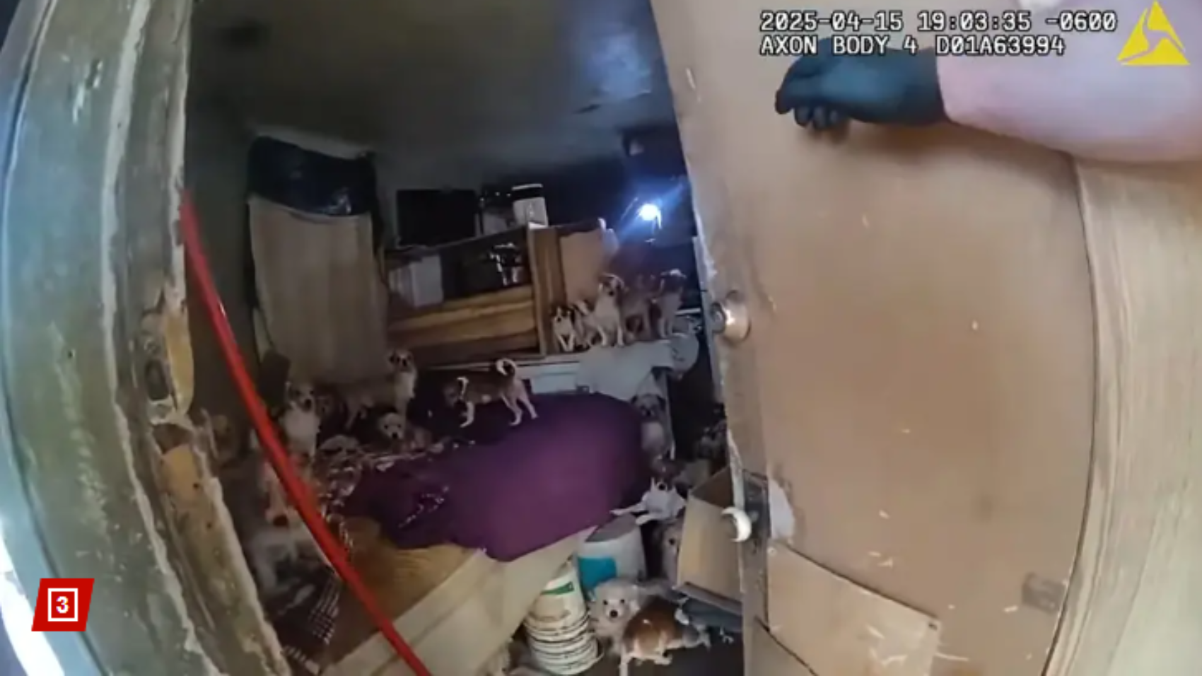 Screenshot 2025-12-27 085727