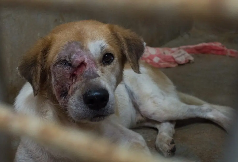 24210208_10155682985175240_7790744191448265111_o-1080x675