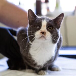 80dccd5f-e156-0dde-b2f2-9c1ae1b30686