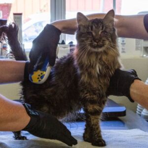 955cd673-889c-1f66-5f66-3d4234ad87ec