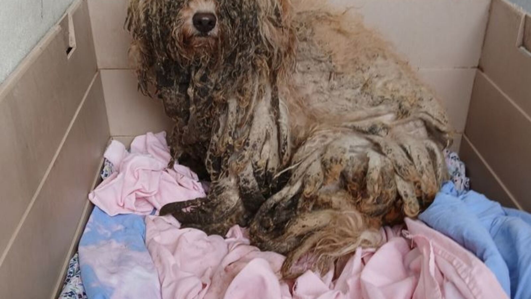 B5RLWMTNAJF2ZA3EUQP3RRIQ6A