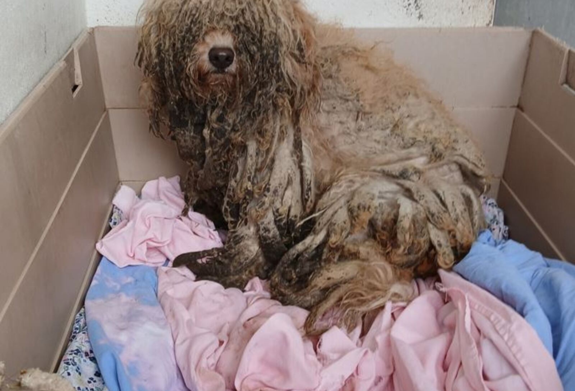 B5RLWMTNAJF2ZA3EUQP3RRIQ6A