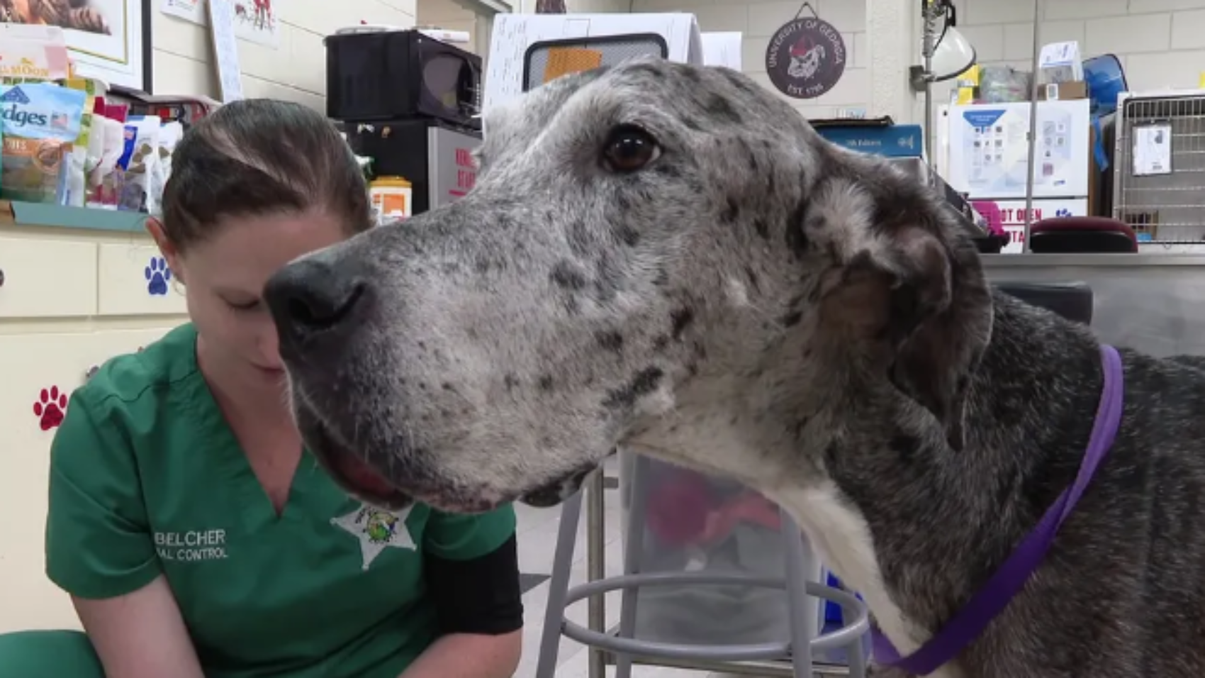 Screenshot 2025-12-27 130129