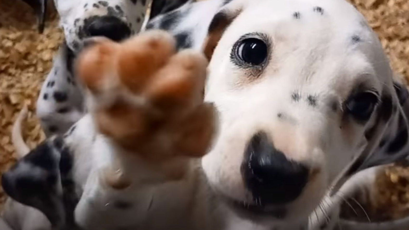 Screenshot 2025-12-27 131532