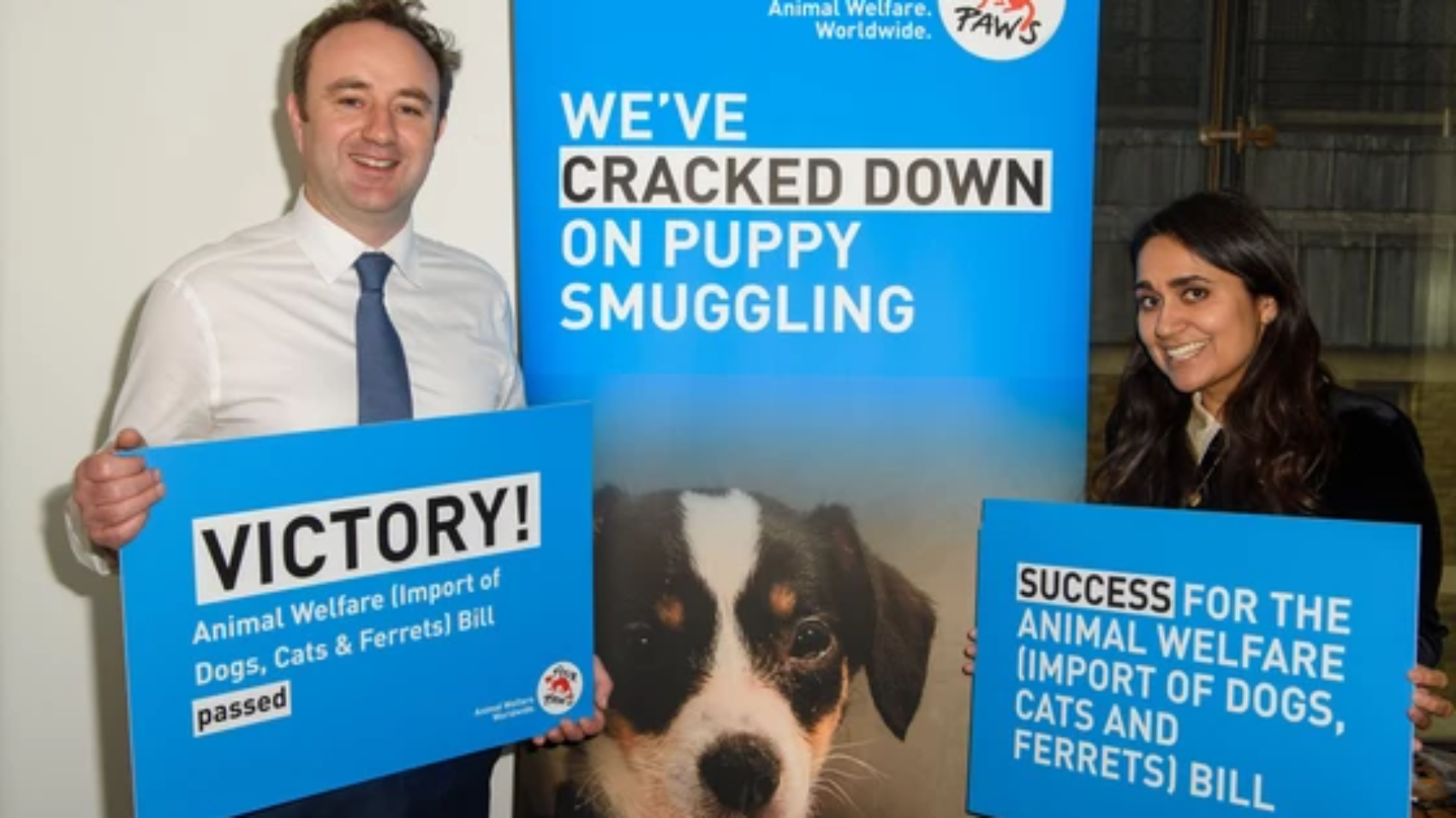 VIER PFOTEN_2025-21-11_0001-3786x2969-3786x2622-560x388