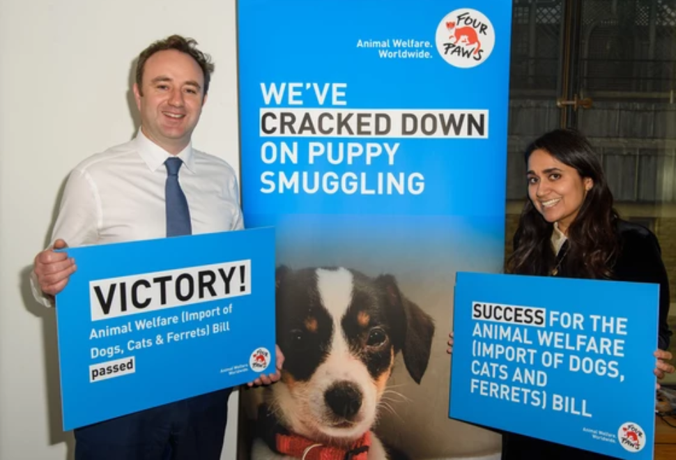 VIER PFOTEN_2025-21-11_0001-3786x2969-3786x2622-560x388