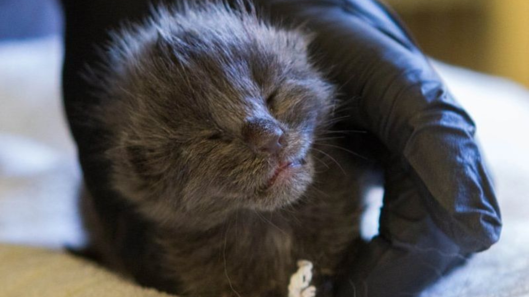 c9f03b01-1c88-25de-dba8-cb15afb48b9a