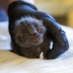 c9f03b01-1c88-25de-dba8-cb15afb48b9a