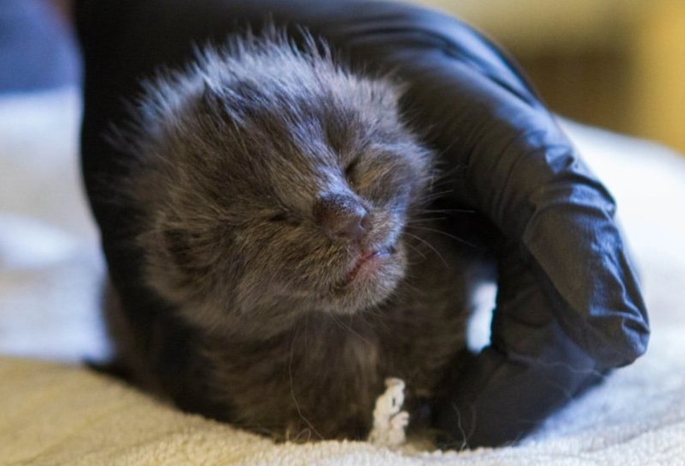 c9f03b01-1c88-25de-dba8-cb15afb48b9a