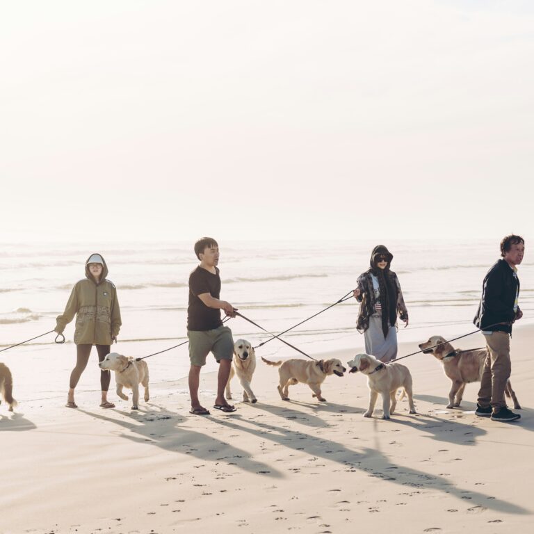 hendo-wang-N8dGHMelzr4-unsplash