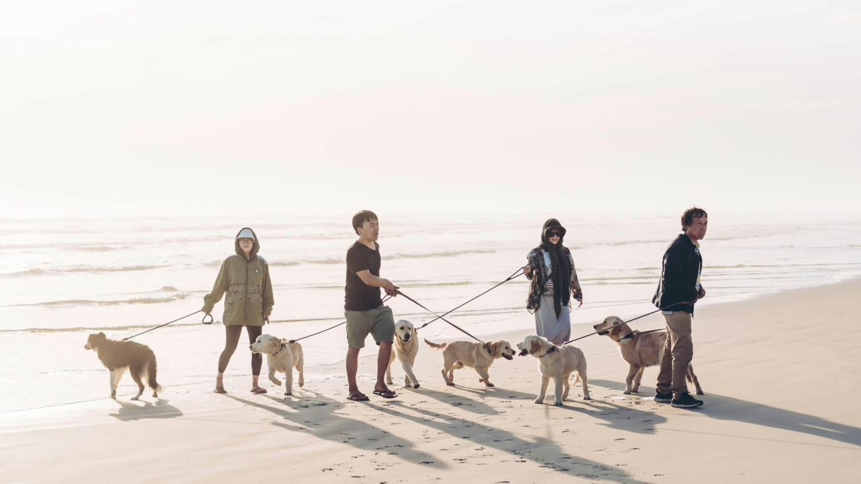 hendo-wang-N8dGHMelzr4-unsplash