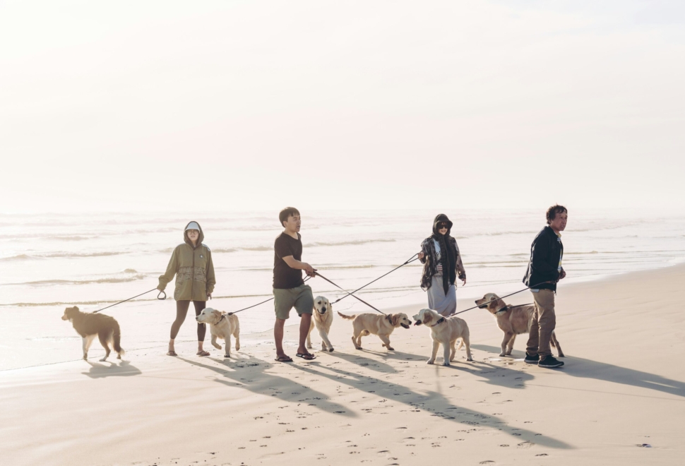 hendo-wang-N8dGHMelzr4-unsplash