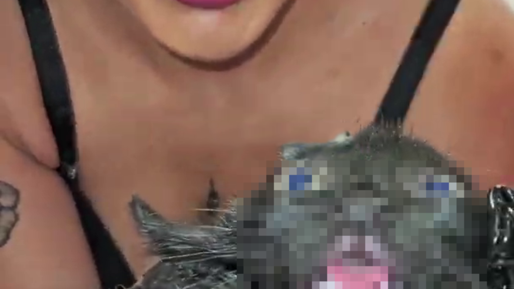 vlcsnap-2025-03-14-15h05m48s187